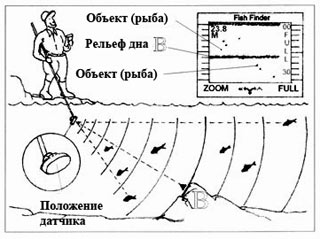 Принцип работы эхолота для рыбалки